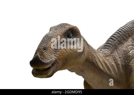 Hadrosaurus isoliert auf weißem Hintergrund. Stockfoto