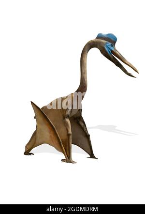 Pterodactyl isoliert auf weißem Hintergrund. Stockfoto