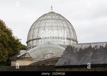 Die Kuppel des Großen Konservatoriums im Syon House, Isleworth, Middlesex, England, Großbritannien Stockfoto