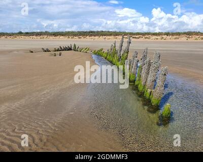 Schiffswrack am Strand von Cefn Sands im Pembrey Country Park in Carmarthenshire South Wales UK, einem beliebten walisischen Touristenreiseort und einer beliebten Küste Stockfoto