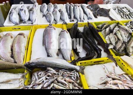 Markt für frische Meeresfrüchte in Batumi Georgia. Lebender Fisch im Eis. Flunder, rote Meeräsche, Lachs, Wels, Aal, Frösche, Stachelrochen, Stör, Muscheln, Austern. Stockfoto