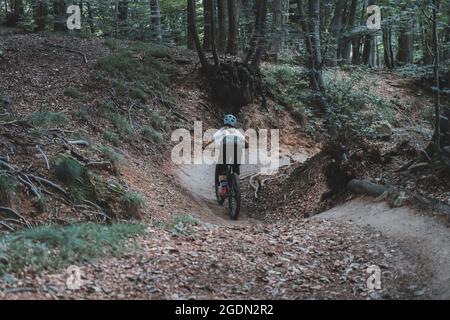 Mittellange Aufnahme der weiblichen Mountainbiker-Kurvenfahrt auf Flow Trail Stockfoto