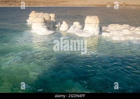 Kristallisiert leiste Felsen entlang der Küste des Toten Meeres, Israel. Stockfoto