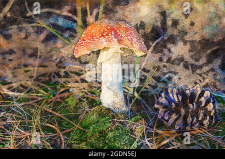 Fliegen Sie Agaric Pilz im Wald zwischen den Kiefernnadeln und grünem Moos. Giftiger Waldpilz neben einem braunen Kegel. Digitale Aquarellmalerei. Stockfoto