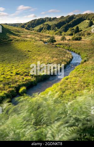 Der Fluss Barle schlängelt sich durch das malerische Exmoor-Tal bei Simonsbath in Somerset. Stockfoto