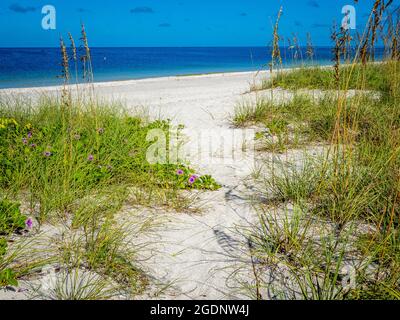 Pfad zum Nokomis Beach im Südwesten Floridas am Golf von Mexiko in Nokomis Florida USA Stockfoto