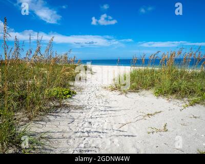 Pfad zum Nokomis Beach im Südwesten Floridas am Golf von Mexiko in Nokomis Florida USA Stockfoto