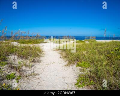 Pfad zum Nokomis Beach im Südwesten Floridas am Golf von Mexiko in Nokomis Florida USA Stockfoto