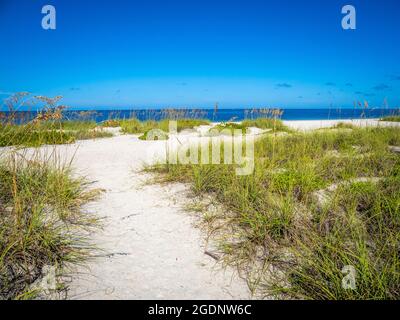 Pfad zum Nokomis Beach im Südwesten Floridas am Golf von Mexiko in Nokomis Florida USA Stockfoto