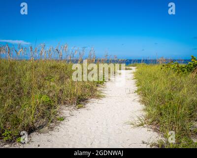 Pfad zum Nokomis Beach im Südwesten Floridas am Golf von Mexiko in Nokomis Florida USA Stockfoto