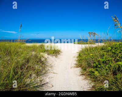 Pfad zum Nokomis Beach im Südwesten Floridas am Golf von Mexiko in Nokomis Florida USA Stockfoto