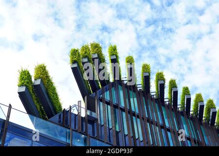 Grünes Stadtbaudach von Ingenhoven Architects in Düsseldorf - ein Projekt, um die Stadt grüner zu machen. Die Pflanzen dienen als natürliche Klimaanlage. Stockfoto