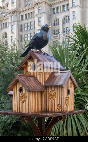 Und diese Vögel können Sing ist eine öffentliche Kunst in Our Lady und St. Nickolas Church Garden in Liverpool ausgestellt. Stockfoto