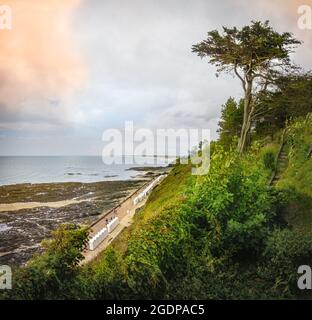 Einsamer Baum auf dem Gipfel des Hügels und weiße Strandhütten in einer Reihe auf dem Boden des Hügels, Vogelperspektive, französischer Strand, Normandie Stockfoto