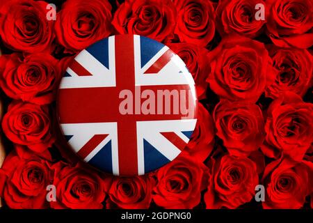 Die Flagge Großbritanniens, allgemein bekannt als Union Jack, gedruckt auf einem Knopfabzeichen, das auf einem roten rosa Hintergrund liegt. Stockfoto