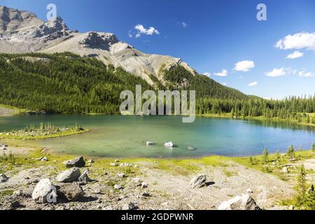 Landschaftlich Reizvoller Blick Auf Den Wunderschönen Elch Lake, Den Grünen Alpinen Evergreen Forest Rugged Peaks Sawback Mountain Range. Sommer Wandern Banff National Park Stockfoto