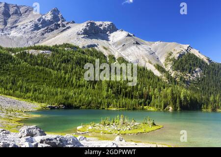 Landschaftlich Reizvoller Blick Auf Den Wunderschönen Elch Lake, Den Grünen Alpinen Evergreen Forest Rugged Peaks Sawback Mountain Range. Sommer Wandern Banff National Park Stockfoto