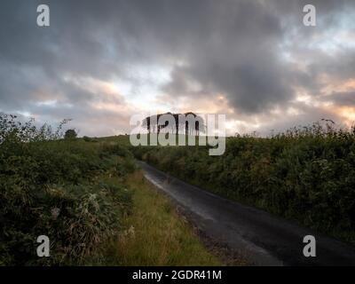 Eine Landstraße im Vordergrund, die am Sommerabend zu den „fast heimen“ Bäumen in Cornwall führt Stockfoto