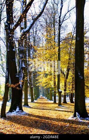 Herbst im Kurpark Turcianske Teplice in der Slowakei. Stockfoto