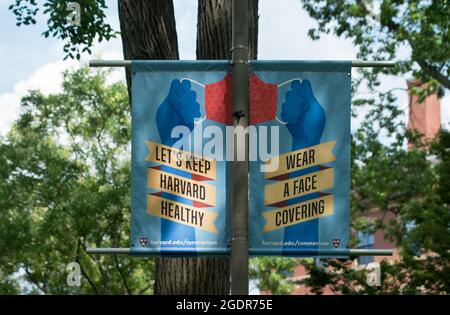 COVID-19: Harvard University, Cambridge, Massachusetts, USA. 13. August 2021. Gesundheitsmaske im Harvard Yard, Zentrum des Campus. Stockfoto