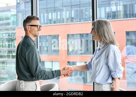 Zwei glückliche professionelle Führungskräfte schütteln sich die Hände beim Treffen. Händedruck Stockfoto