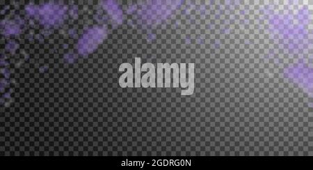 Violette Blütenblätter fallen herunter. Lebendige romantische Blumen fallen regen. Fliegendes Blütenblatt auf transparentem, breitem Hintergrund. Liebe, Romantik Konzept. Entzückend Stock Vektor