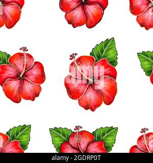 Digitale Illustration des nahtlosen Musters der Hibiskusblüte auf weißem, isoliertem Hintergrund. Hochwertige Illustration Stockfoto