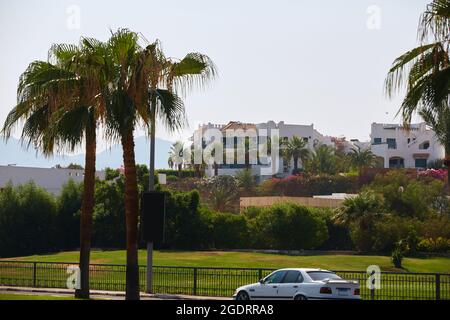 Typischer Blick auf die Grünfläche rund um die Hotels der Resortgegend von ​​Sharm El Sheikh in Ägypten. Stockfoto