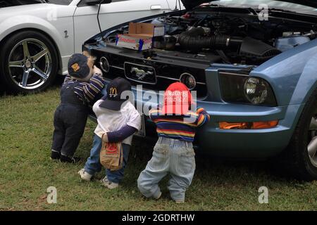 Oldtimer-Show in einer restaurierten Sinclair-Station an der Old Route 66, Ash Grove, Missouri. Stockfoto