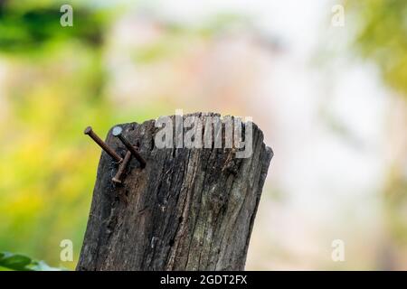 Alte Holzpfosten im Park. Seit vielen Jahren der Sonne ausgesetzt gewesen, bis der Verfall. Stockfoto