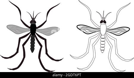 Realistische Illustration von Moskito oder Little Fly. Isoliert auf weißem Hintergrund. Insekten Käfer Würmer Pest und Fliegen. Stock Vektor