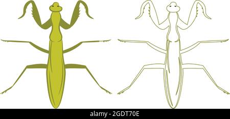 Mantis Mantidae Mantodea Illustration Füllen und Umriss isoliert auf weißem Hintergrund. Insekten Käfer Würmer Pest und Fliegen. Entomologie oder Schädlingsbekämpfung Stock Vektor