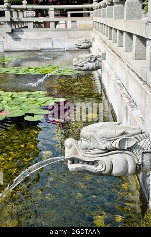 Brunnenteich in einem Tempel in Singapur, Asien Stockfoto