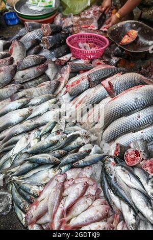 Viele verschiedene Fischarten stehen am Straßenrand in Yangon Myanmar zum Verkauf. Lokale Märkte wie dieser sind in Myanmar und in der gesamten Asi ein gemeinsamer Platz Stockfoto