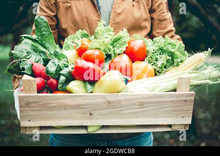 Bauer hält Holzkiste gefüllt frisches Gemüse Stockfoto