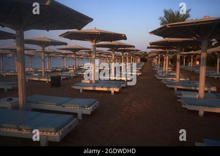 Sonnenschirme und Sonnenliegen im luxuriösen tropischen Resort am Korallenstrand im Roten Meer. Resortkomplex am Roten Meer. Typischer Resortstrand. Stockfoto