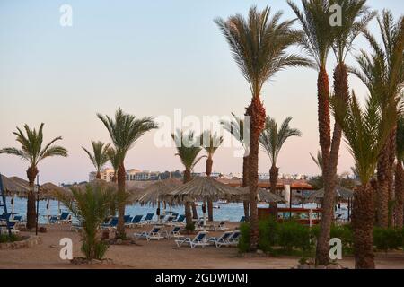 Sonnenschirme und Sonnenliegen im luxuriösen tropischen Resort am Korallenstrand im Roten Meer. Resortkomplex am Roten Meer. Typischer Resortstrand. Stockfoto