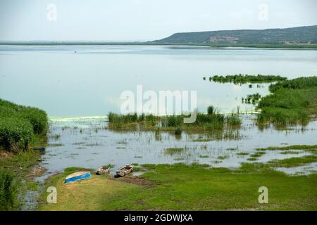 Der Lake Gala Nationalpark wurde am 5. März 2005 gegründet und ist ein Nationalpark in der Provinz Edirne in der Region Marmara in der Türkei. Stockfoto