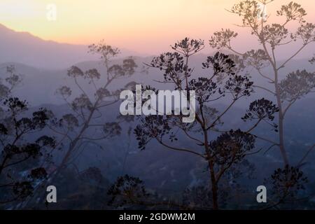 Sonnenaufgang über La Maroma und der Landschaft von Axarquia, Malaga, Andalucía, Spanien Stockfoto