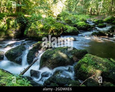 Naturschutzgebiet Triebtal im Vogtland Stockfoto