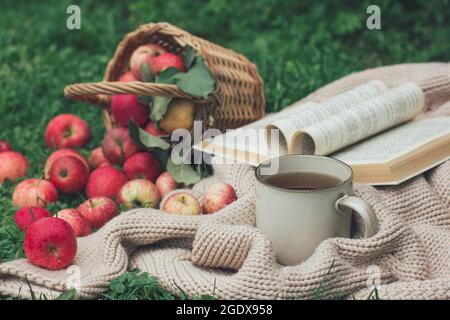 Herbstpicknick und Stimmung. Eine Tasse Tee oder Kaffee, eine Strickdecke, ein Buch und ein Korb mit verstreuten roten Beeren auf dem grünen Rasen. Herbststimmung, autu Stockfoto