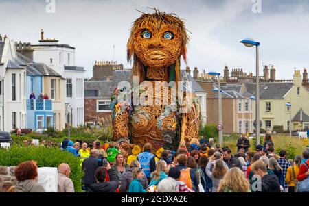 North Berwick, Schottland, Großbritannien. August 2021. Die Riesenpuppe Storm spaziert entlang der Küste von North Berwick im Rahmen des Fringe by the Sea Festivals in der Stadt. Sturm ist ein Theaterereignis im Freien zum schottischen Jahr der Küsten und Gewässer 20/21. Iain Masterton/Alamy Live News. Stockfoto