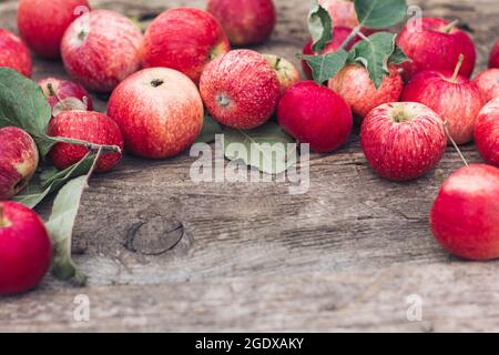 Rote Äpfel liegen auf einem Holztisch. Herbsternte, Erntezeit, Herbststimmung. Stockfoto