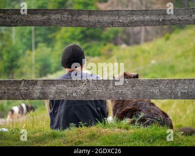 Einsamer Hirte sieht die Herde, die im Grün des Berges grast, zusammen mit seinem treuen Hund an Stockfoto