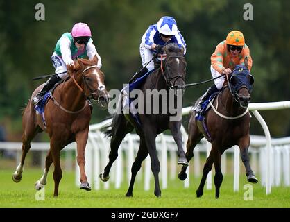 Möglicher Mann mit Jockey Silvestre de Sousa (Mitte), Boltaway mit Jockey Paul Mulrennan (links) und Kings Prince mit Jockey Patrick Joseph McDonald während des Mary Clark „Favorite Day of the Year“ Handicap auf der Rennbahn Pontefract. Bilddatum: Sonntag, 15. August 2021. Siehe PA Story RACING Pontefract. Bildnachweis sollte lauten: Tim Goode/PA Wire. EINSCHRÄNKUNGEN: Die Nutzung unterliegt Einschränkungen. Nur redaktionelle Verwendung, keine kommerzielle Nutzung ohne vorherige Zustimmung des Rechteinhabers. Stockfoto