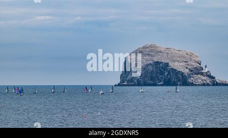 North Berwick, East Lothian, Schottland, Großbritannien, 15. August 2021. Im East Lothian Yacht Club findet diese Woche das Aspire Merlin Rocket National Championships Segelrennen statt. Dies ist die 75. Nationale Meisterschaft der Klassen Stockfoto