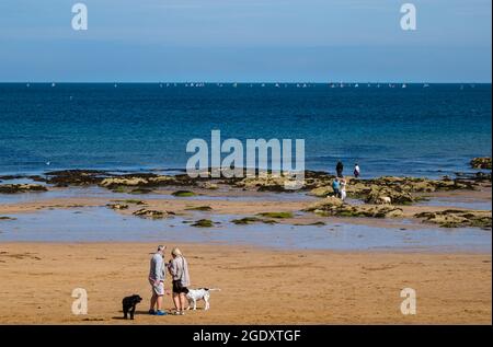 North Berwick, East Lothian, Schottland, Großbritannien, 15. August 2021. UK Wetter: Sonnenschein am Meer. Menschen und Hunde am East Beach vor dem Bass Rock im Firth of Forth, der weiß ist mit Tölpeln Stockfoto