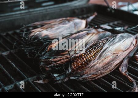 Leicht verkohlter Mais auf dem Maiskolben mit Schale auf einem Grillrost Stockfoto