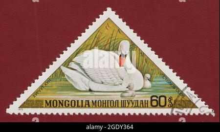 MONGOLEI - UM 1973: Stempel gedruckt von der Mongolei, zeigt Ente, um 1973. Stockfoto