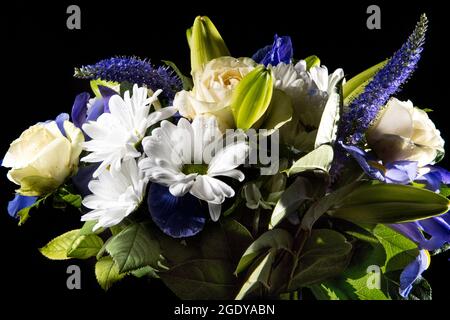 Beerdigung Strauß lila weiße Blüten, Mitgefühl und Beileid Konzept auf blackbackground mit kopieren. Stockfoto